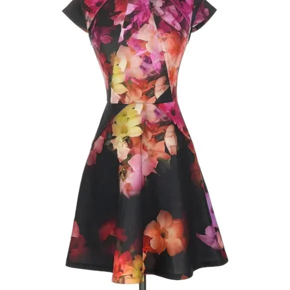 Ted Baker London Dress